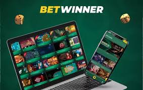 BetWinner Betting Platform Your Gateway to Online Betting
